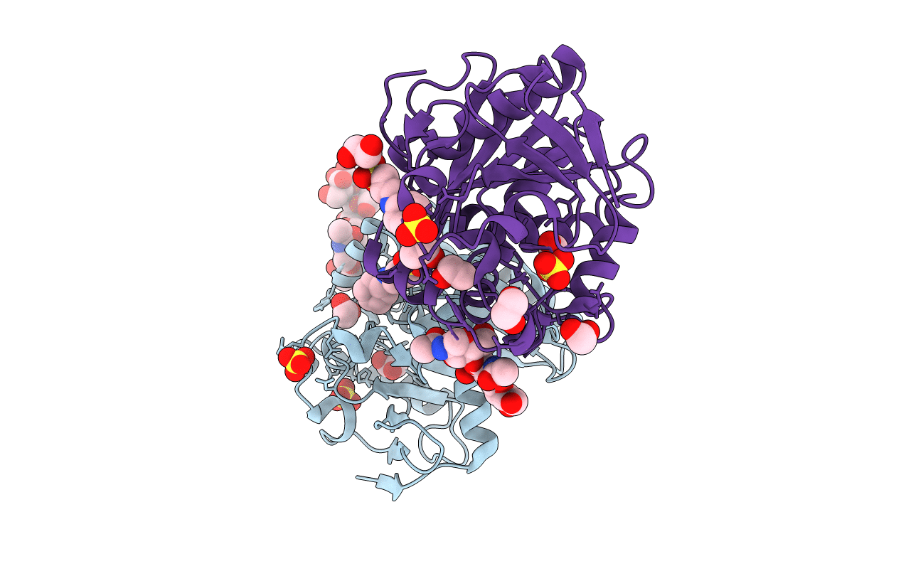 2HL6 image