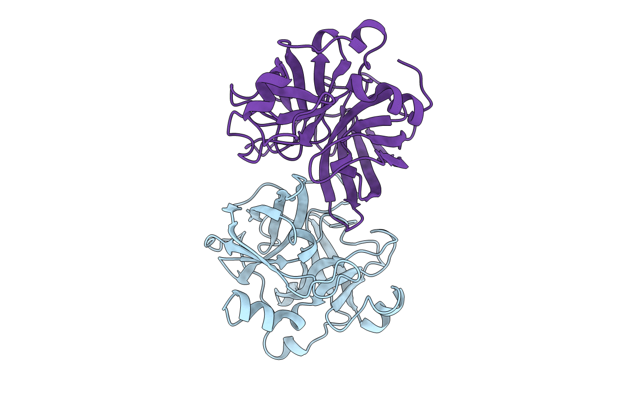 2HLC image