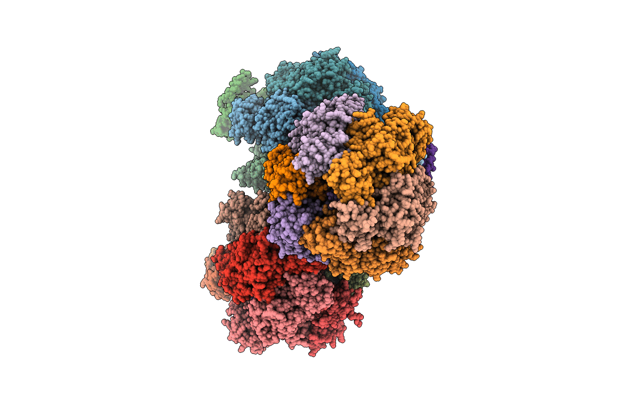 2HLD image