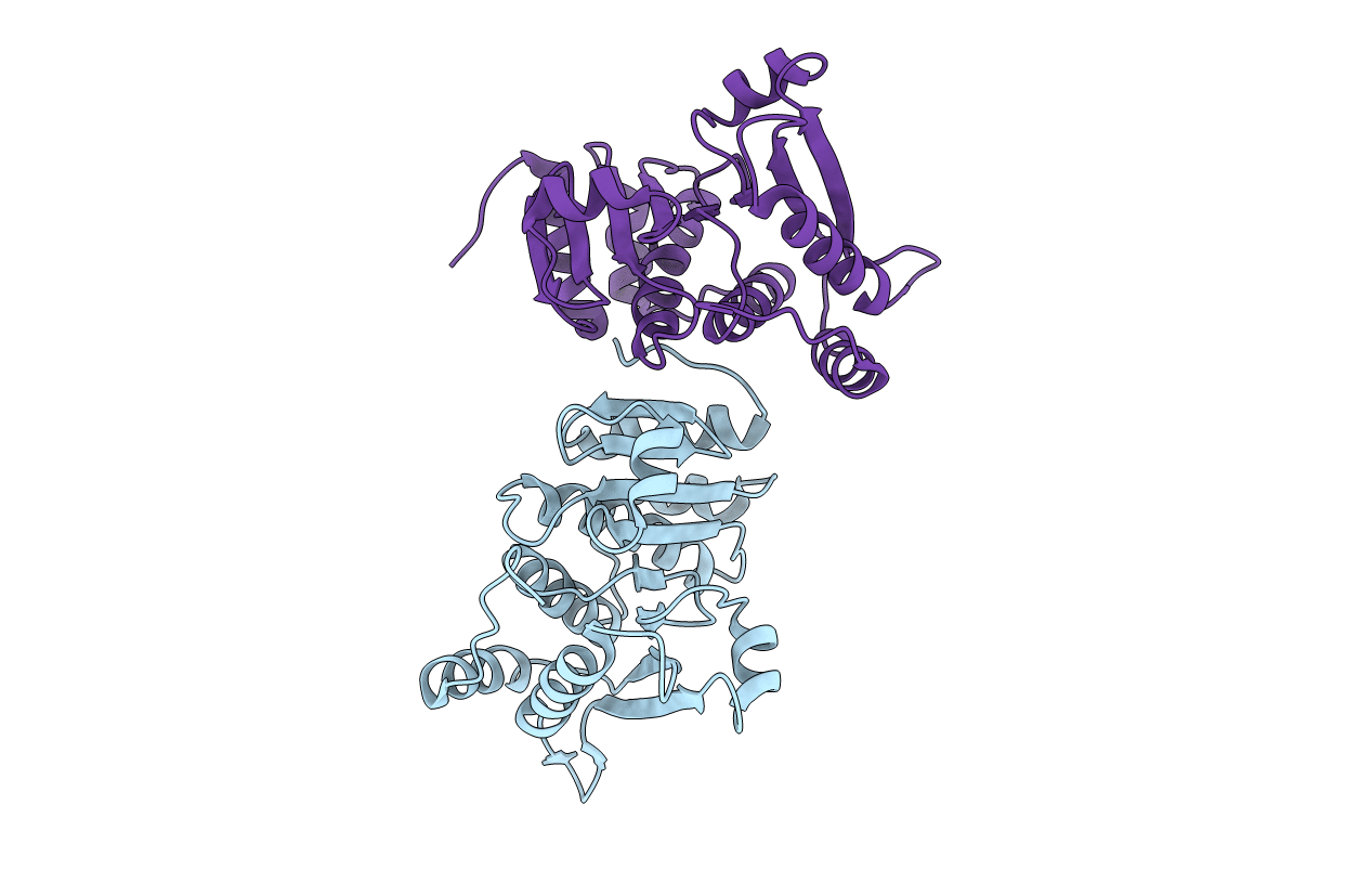 2HLS image