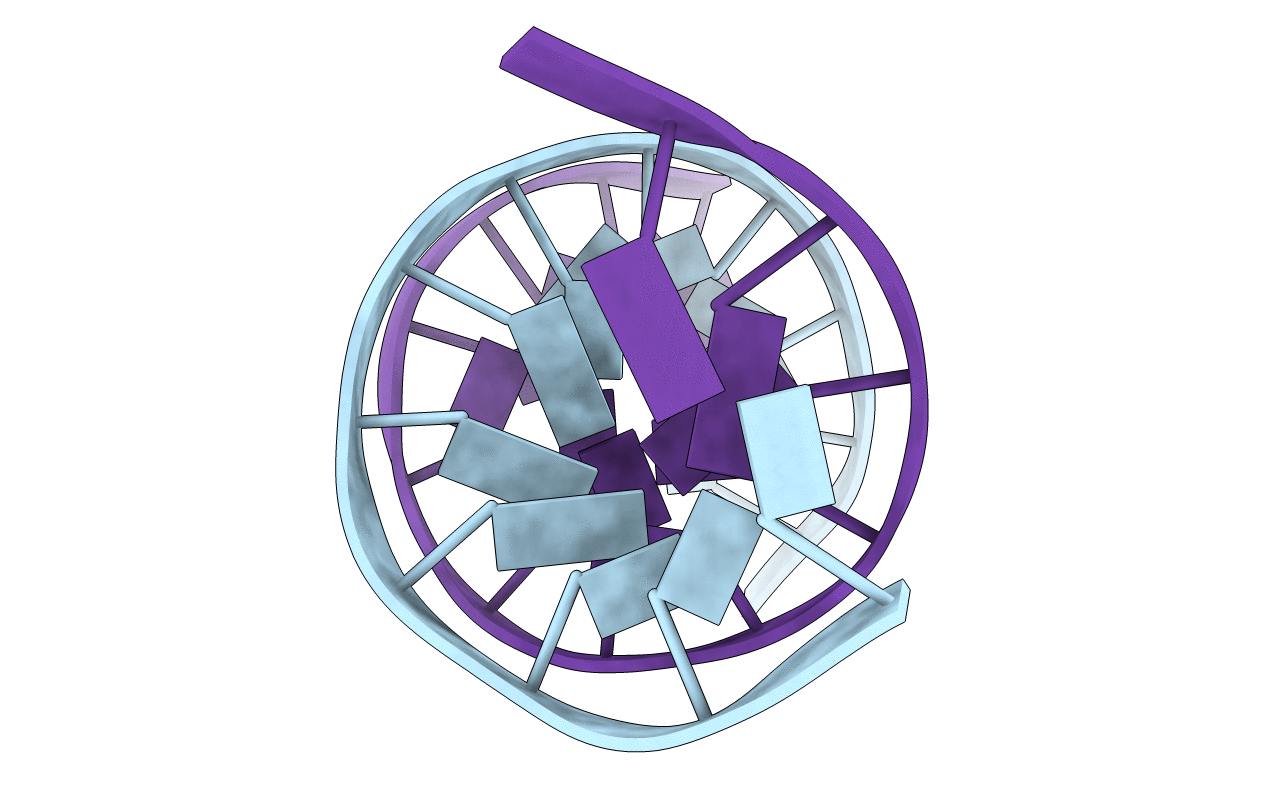 2HMD image