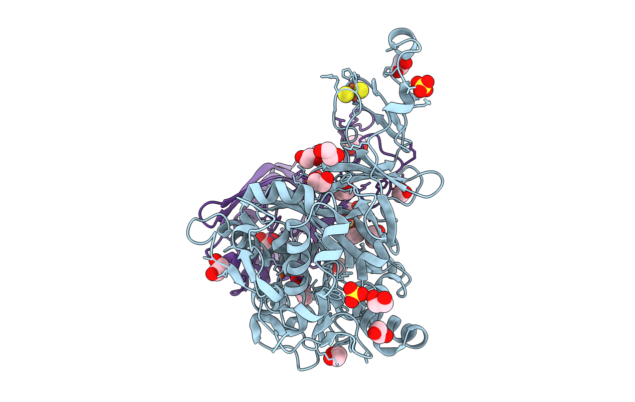 2HMO image