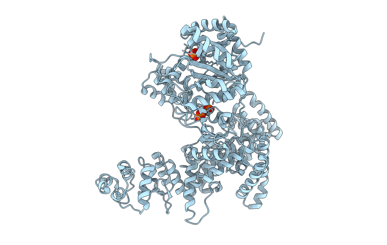 2HNH image