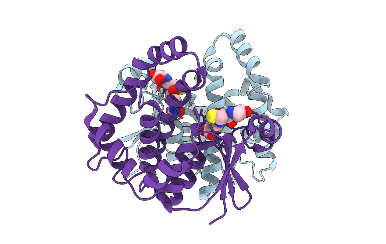 2HNL image