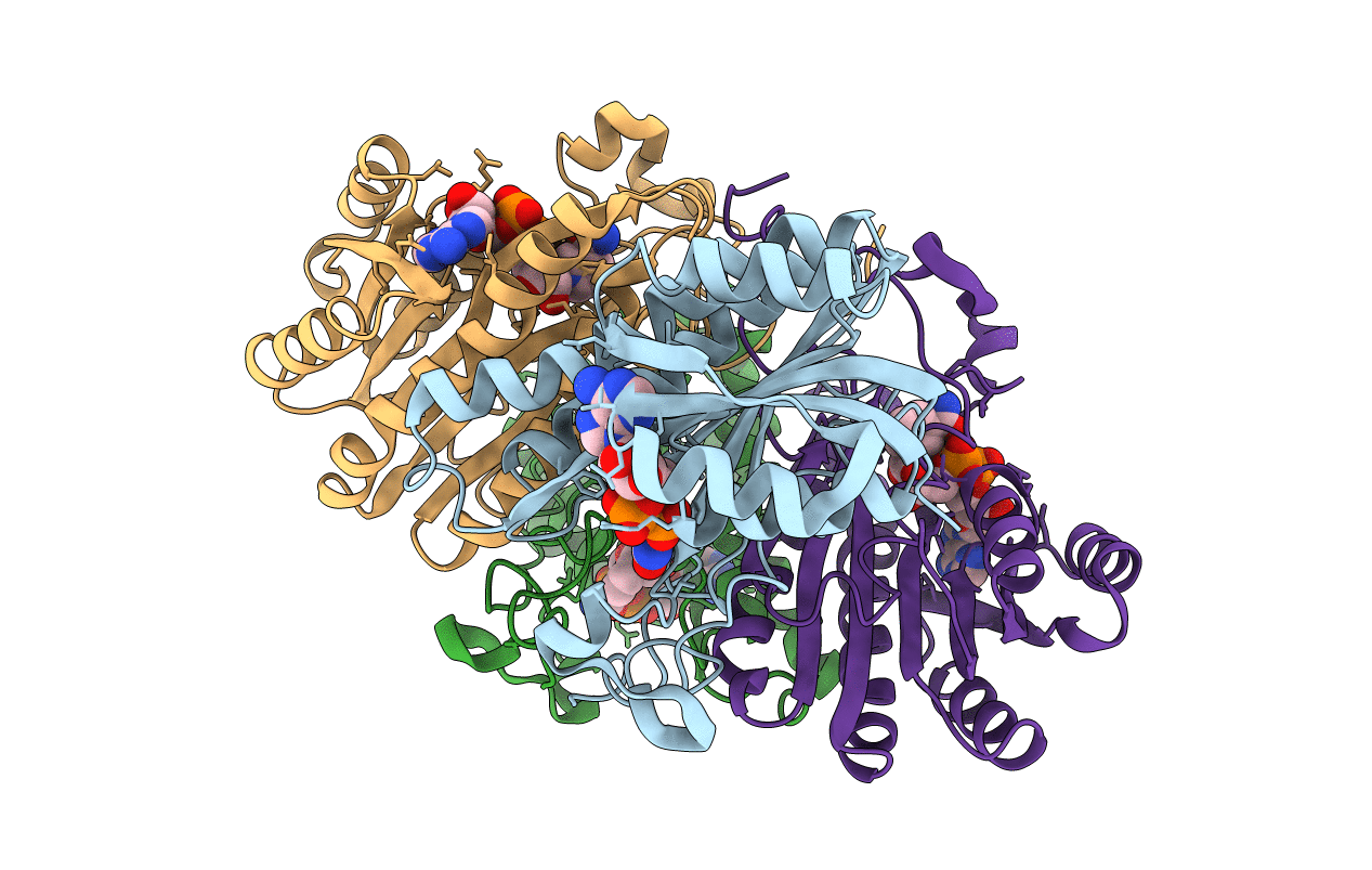 2HSD image