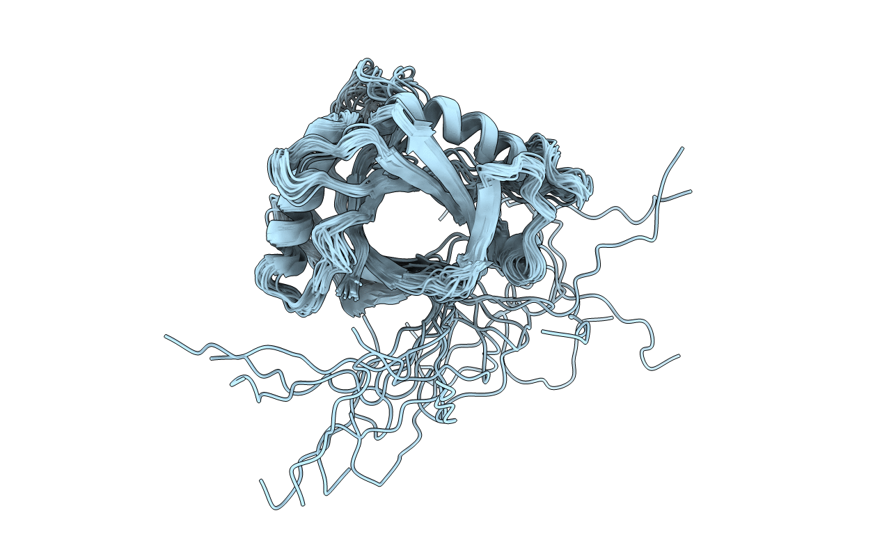 2HVA image