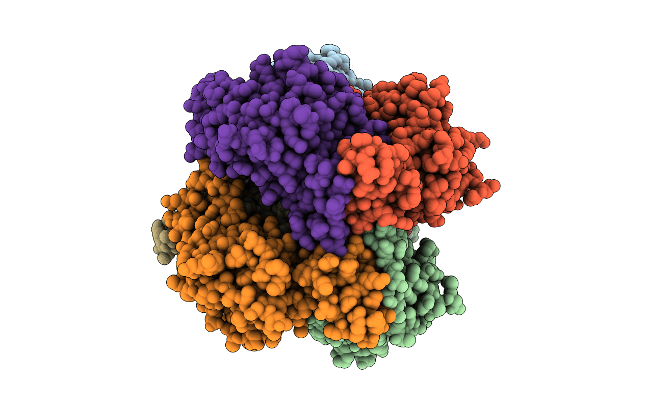 2HW5 image