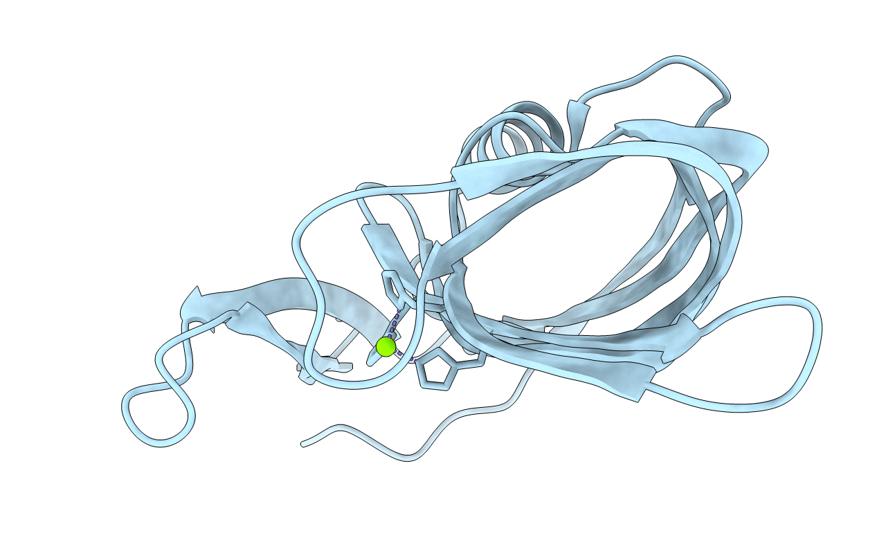 2HX0 image