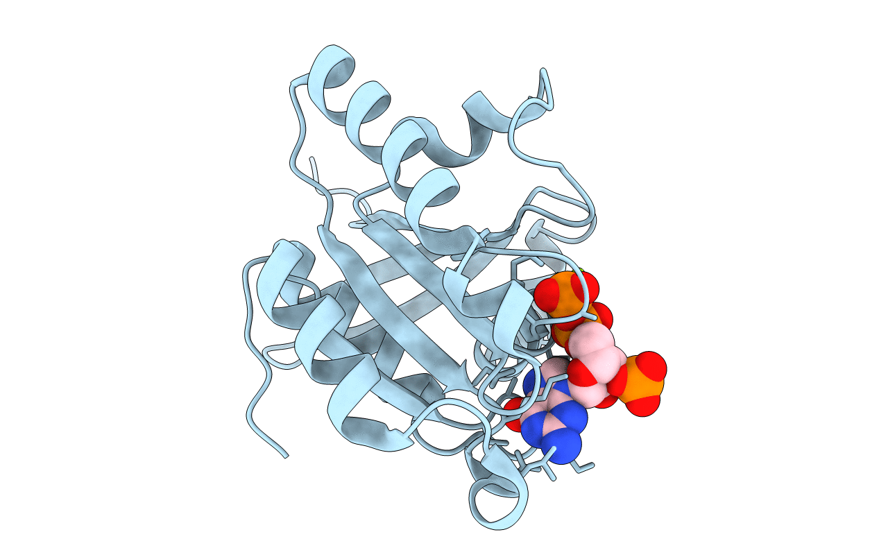 2HXS image