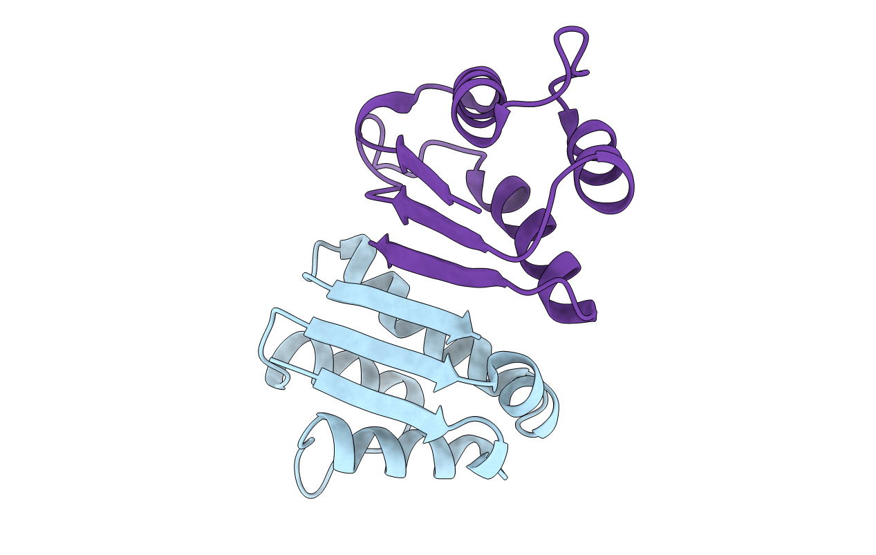 2HXX image