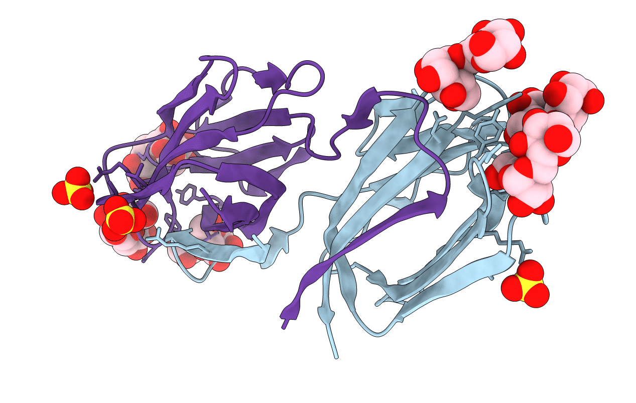 2HYQ image