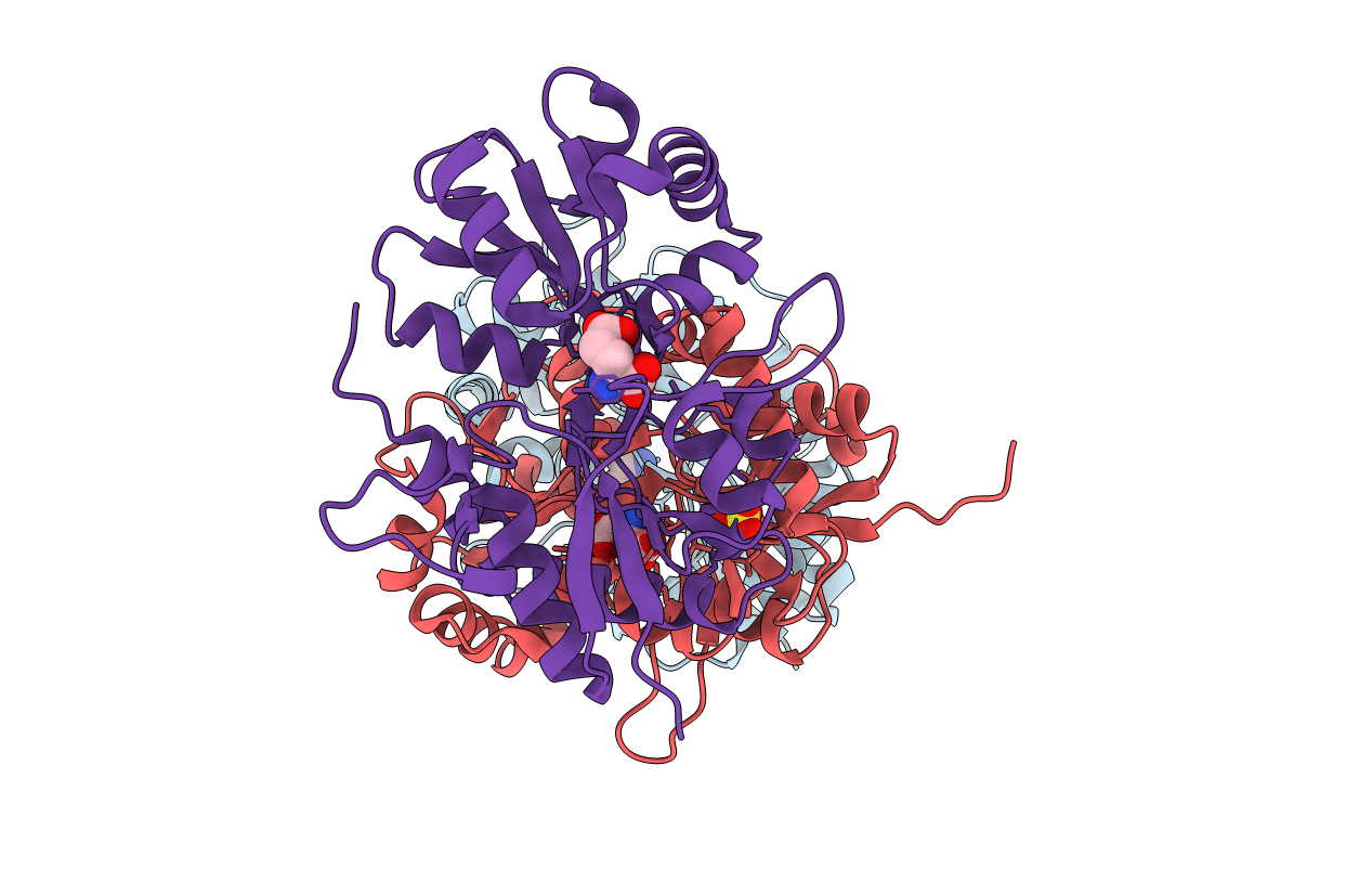 2I0B image
