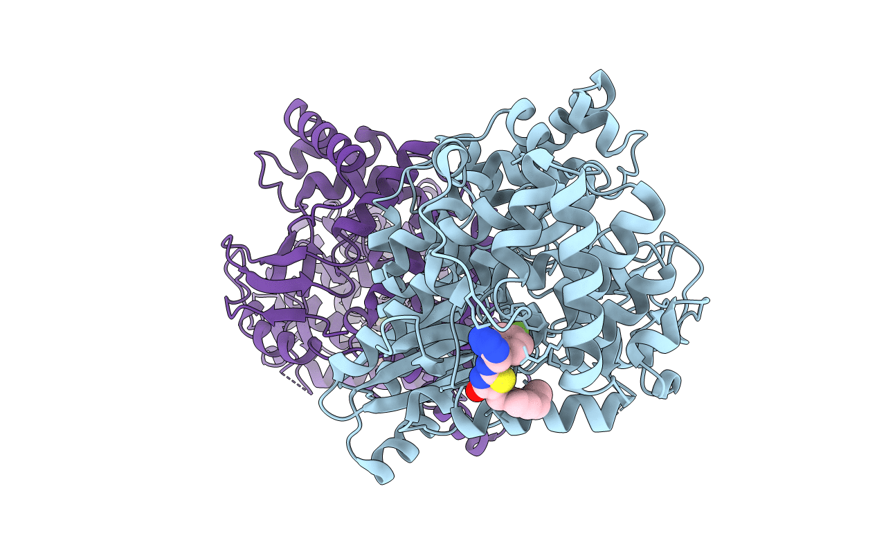 2I1R image