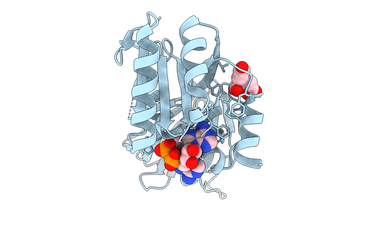 2I2D image
