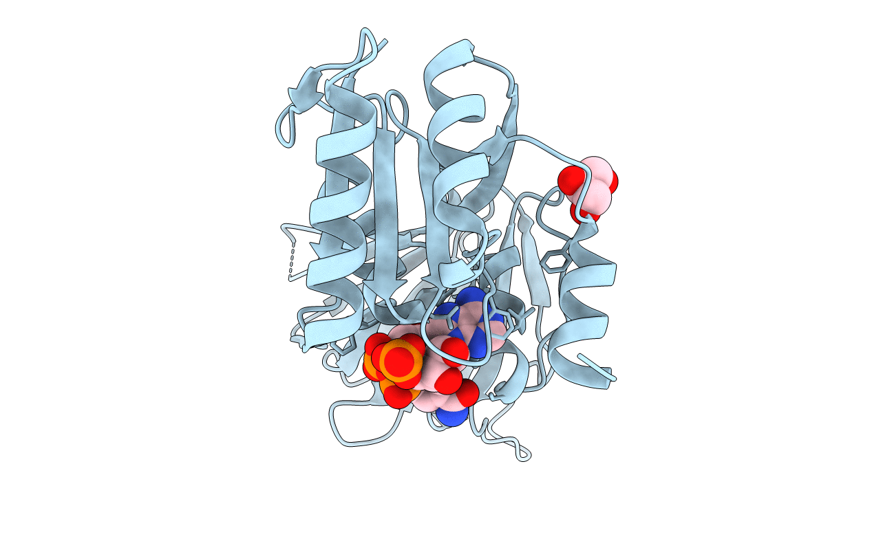 2I2F image