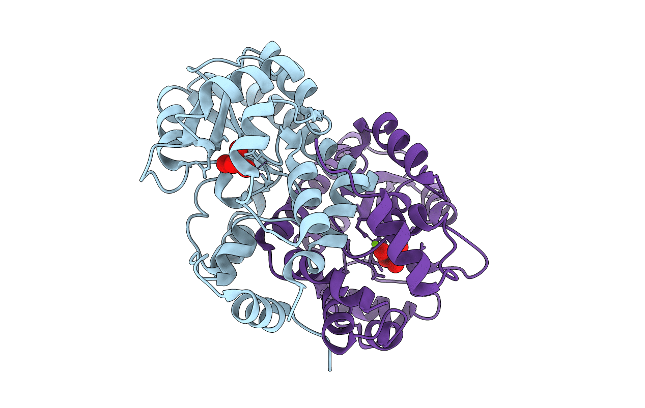 2I34 image