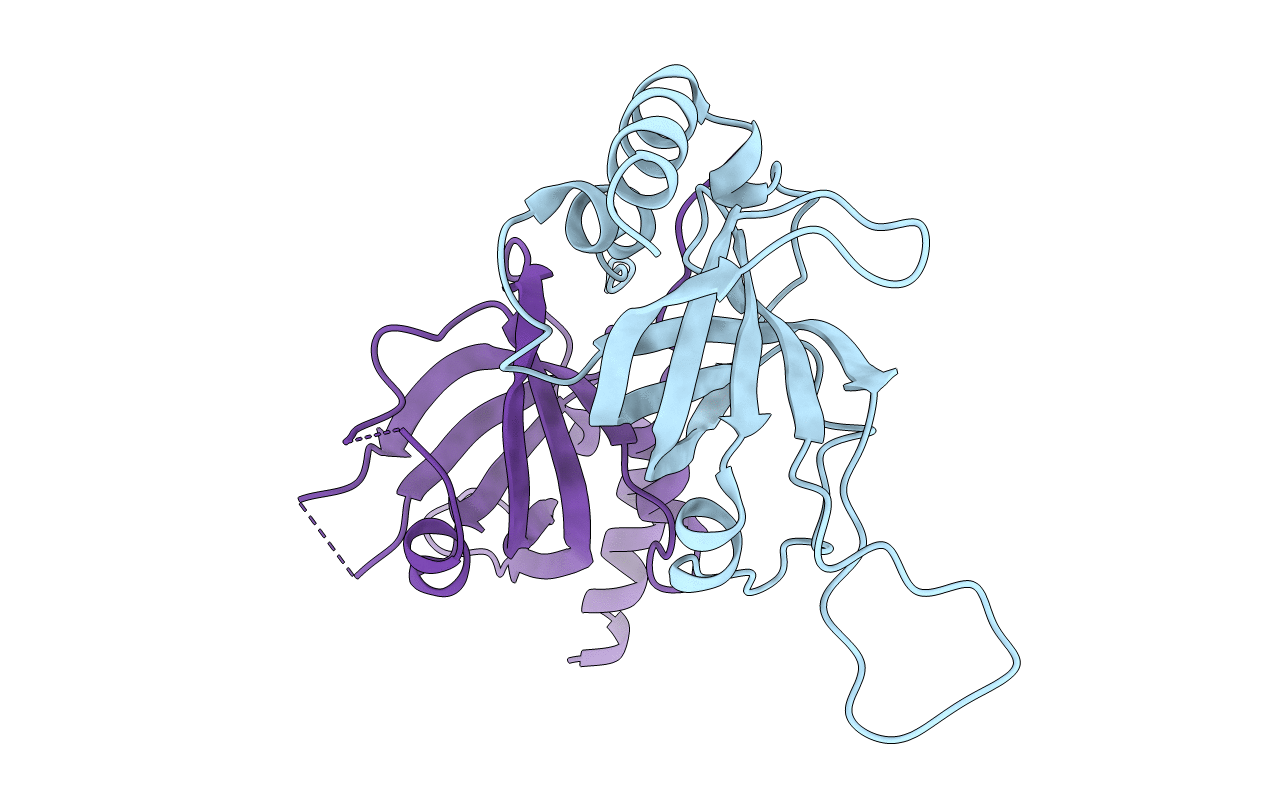 2I46 image