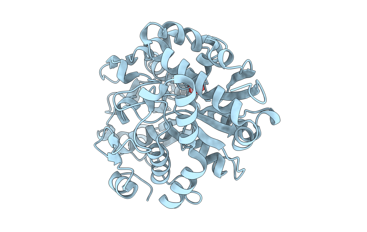 2I48 image