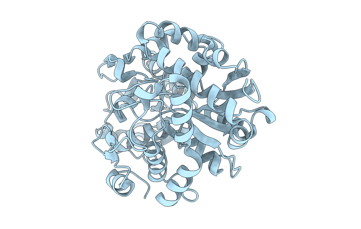 2I49 image