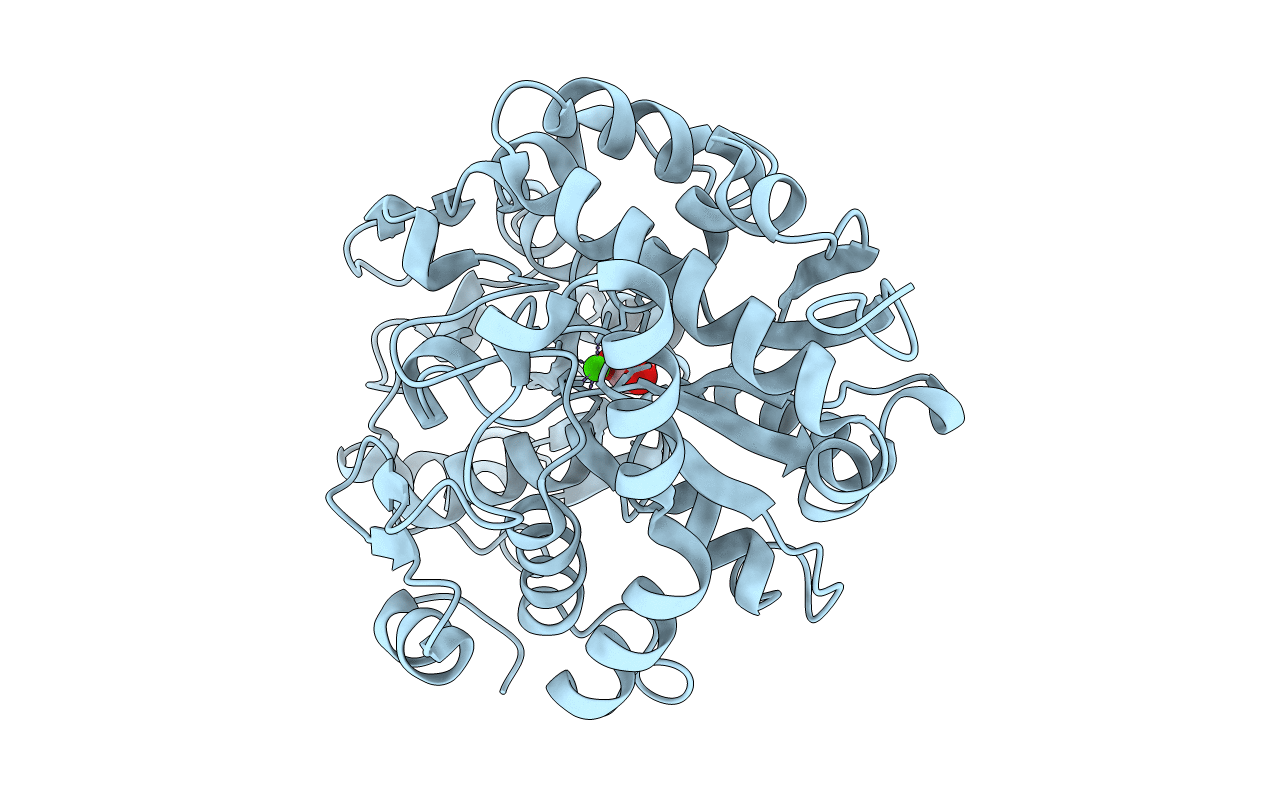 2I4B image