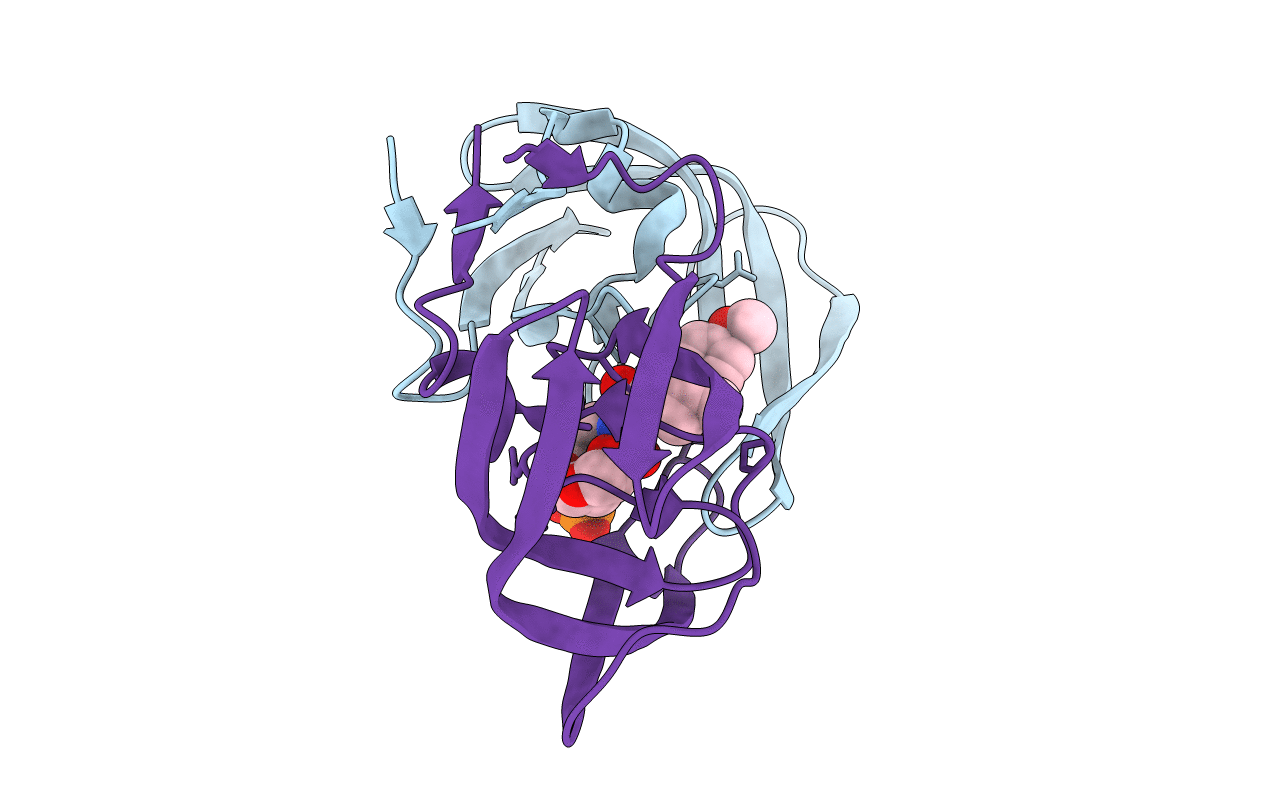 2I4D image