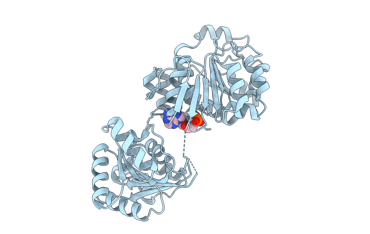 2I4I image