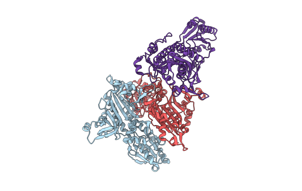 2I4L image