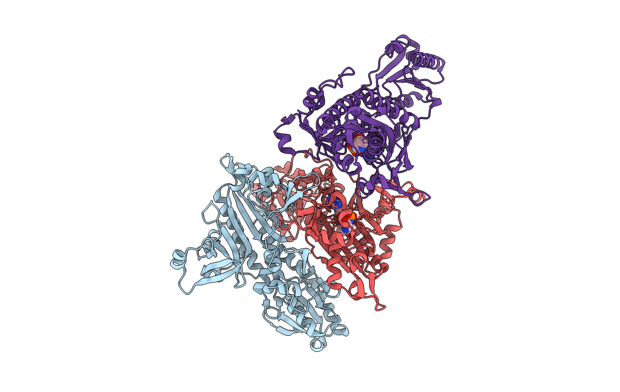 2I4M image