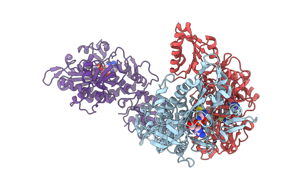 2I4N image