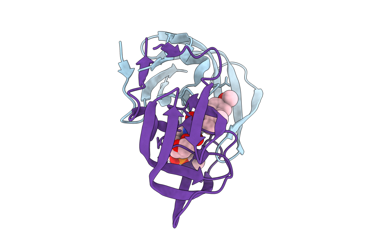 2I4W image