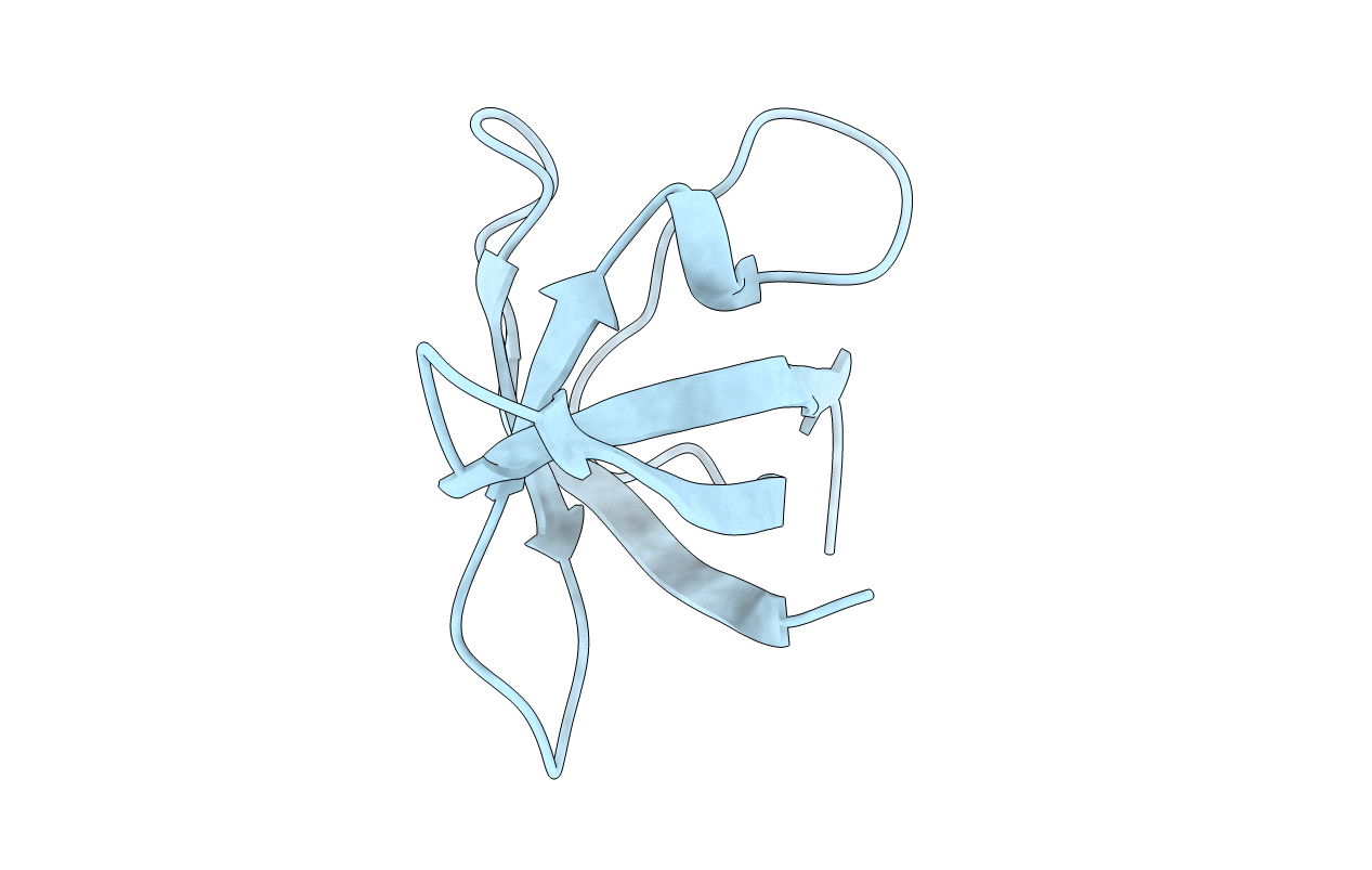 2I5L image