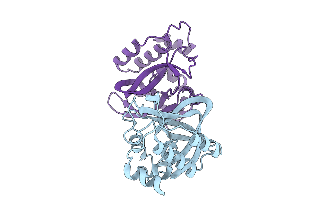 2I5T image