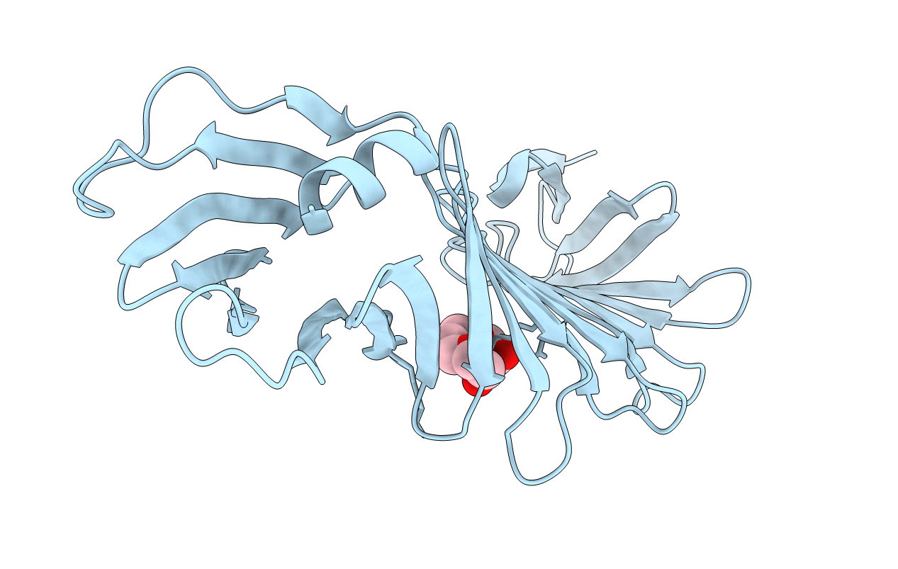 2I5Z image