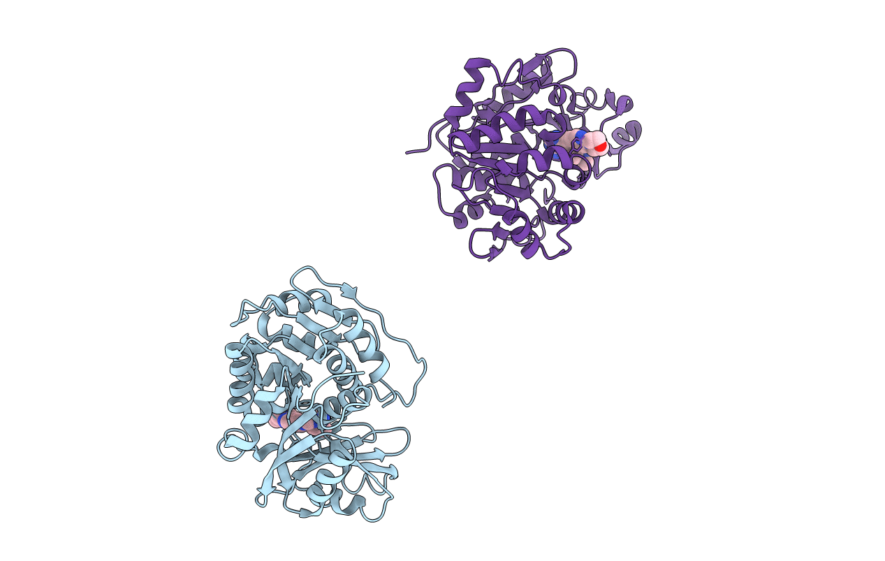 2I6B image