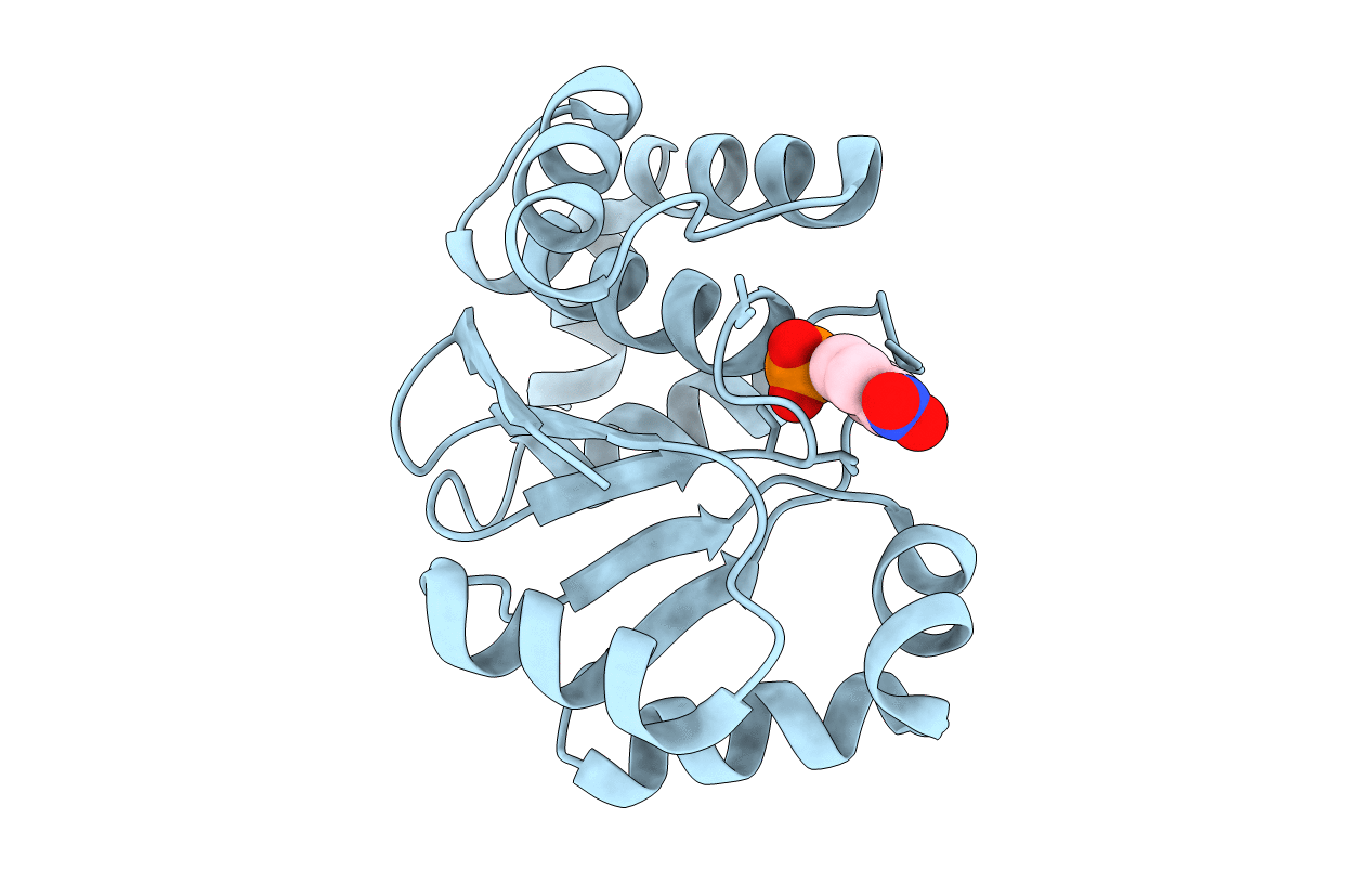 2I6P image
