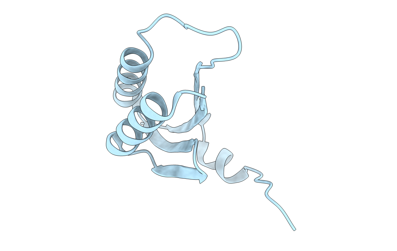 2I8E image