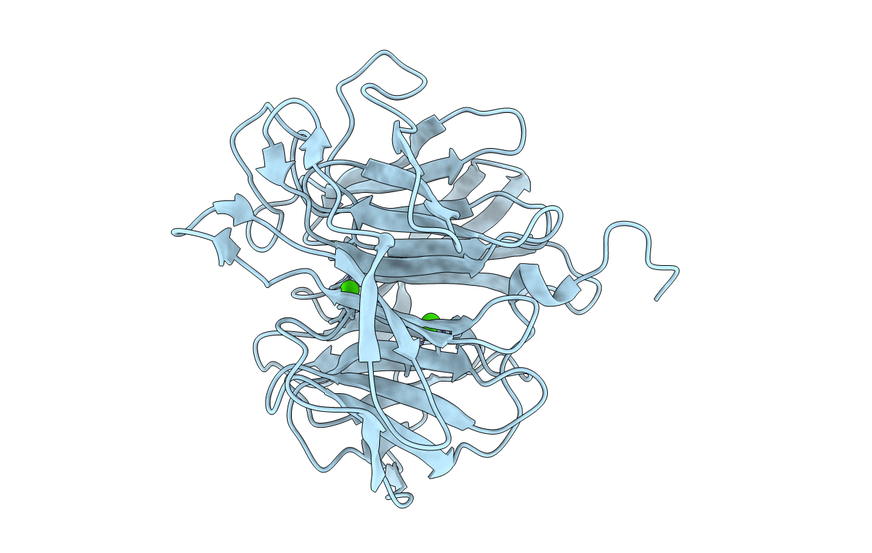2IAT image