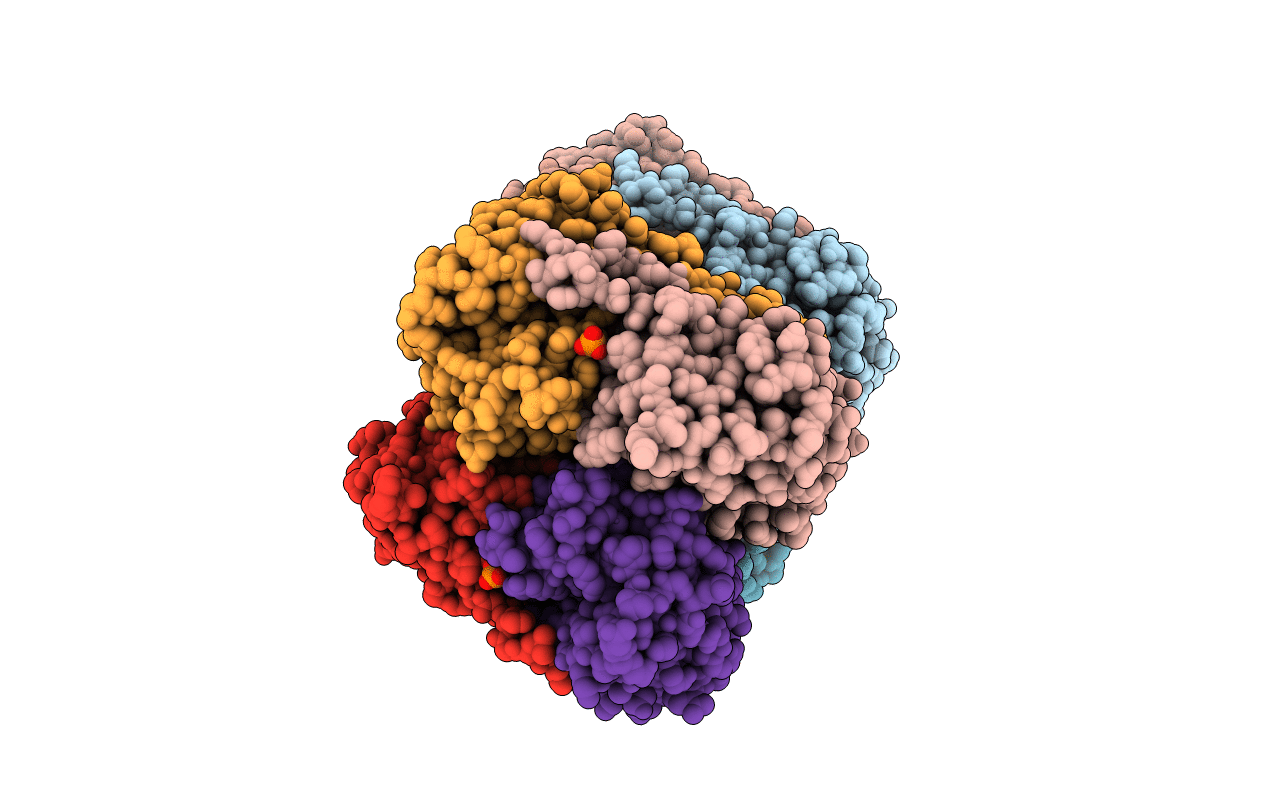 2IB6 image