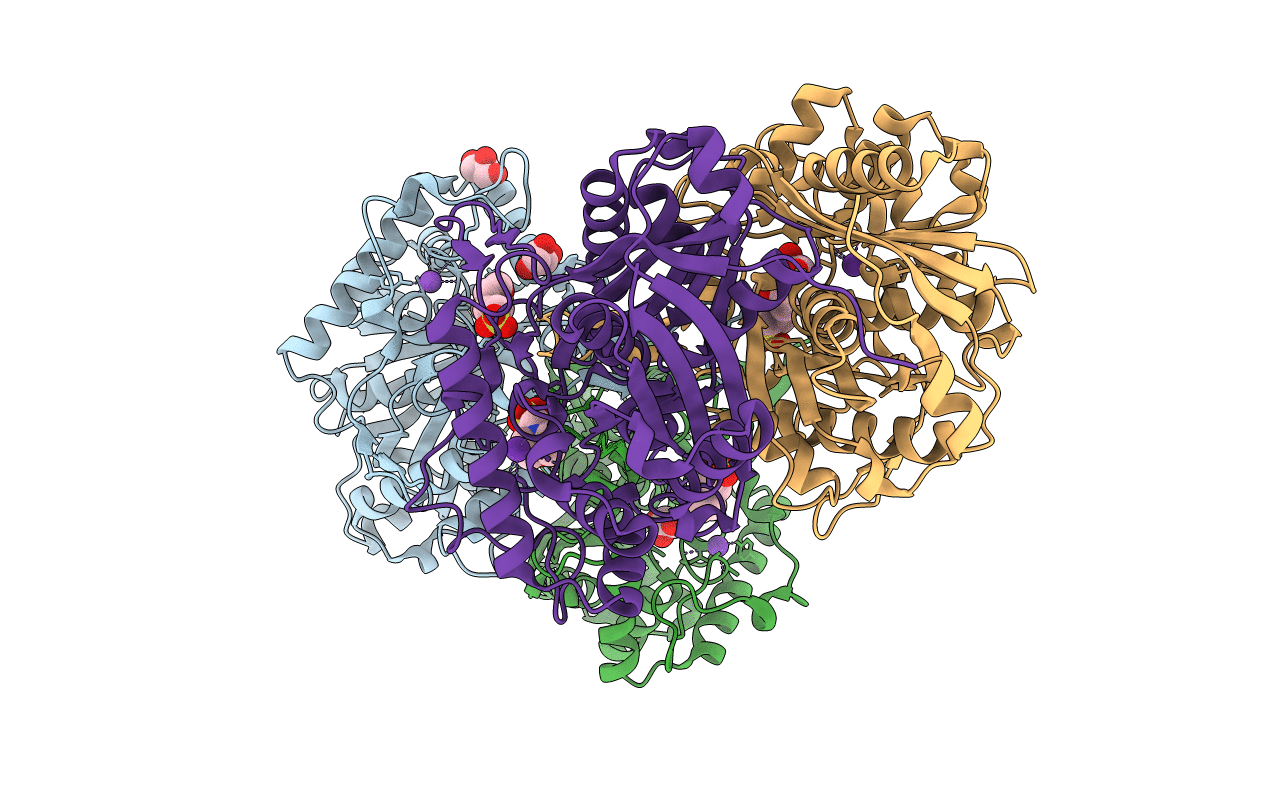 2IB8 image