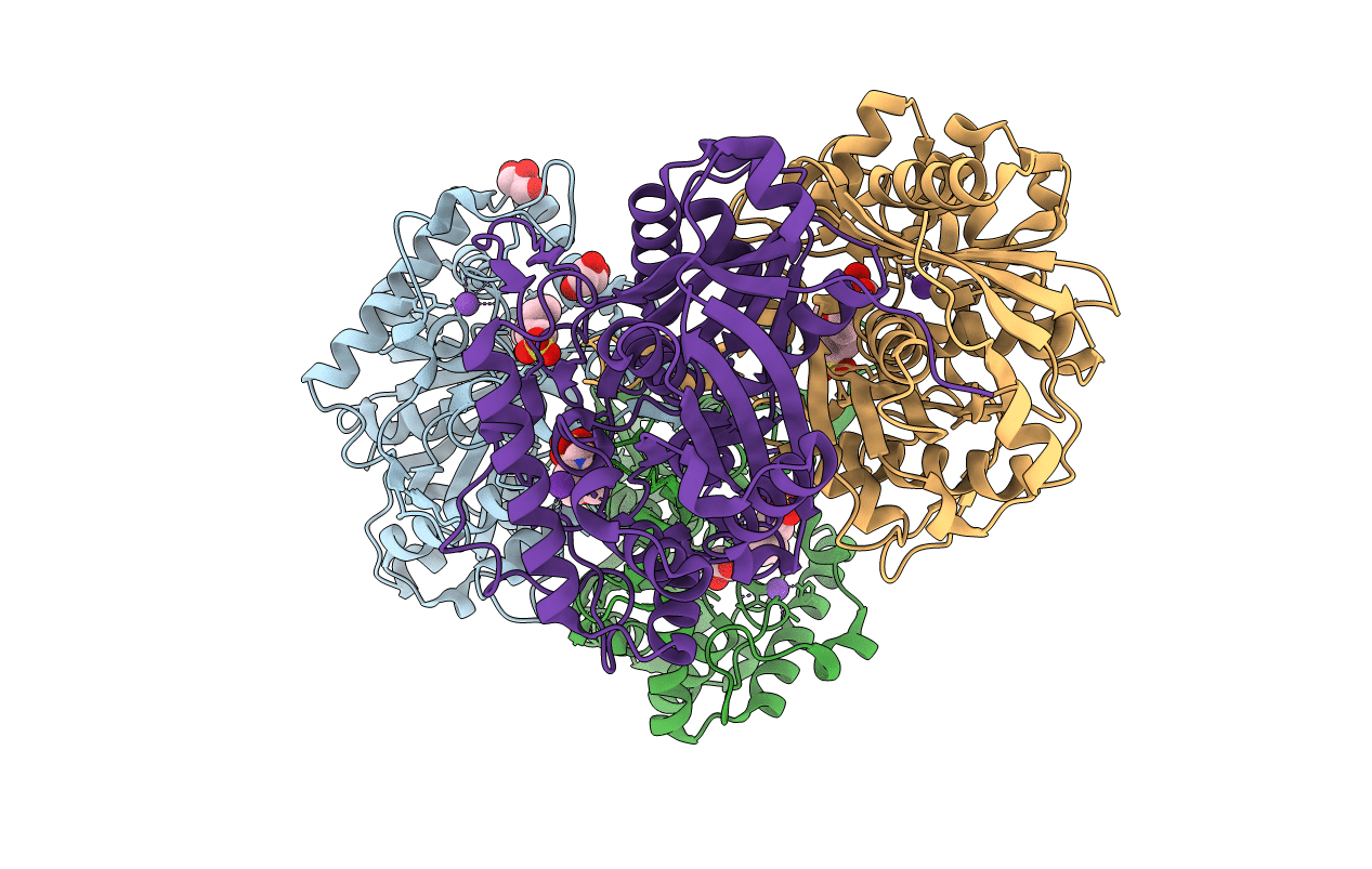 2IB9 image