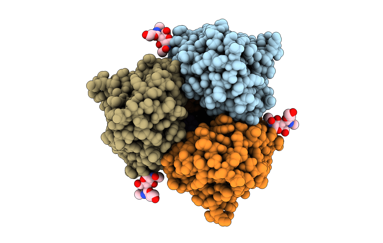 2IBX image