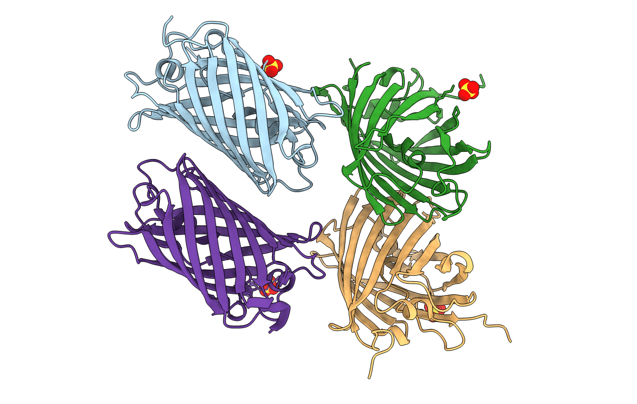 2ICR image