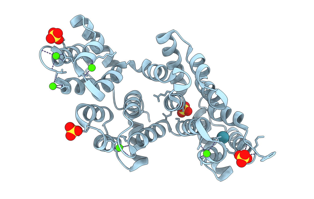 2IE6 image