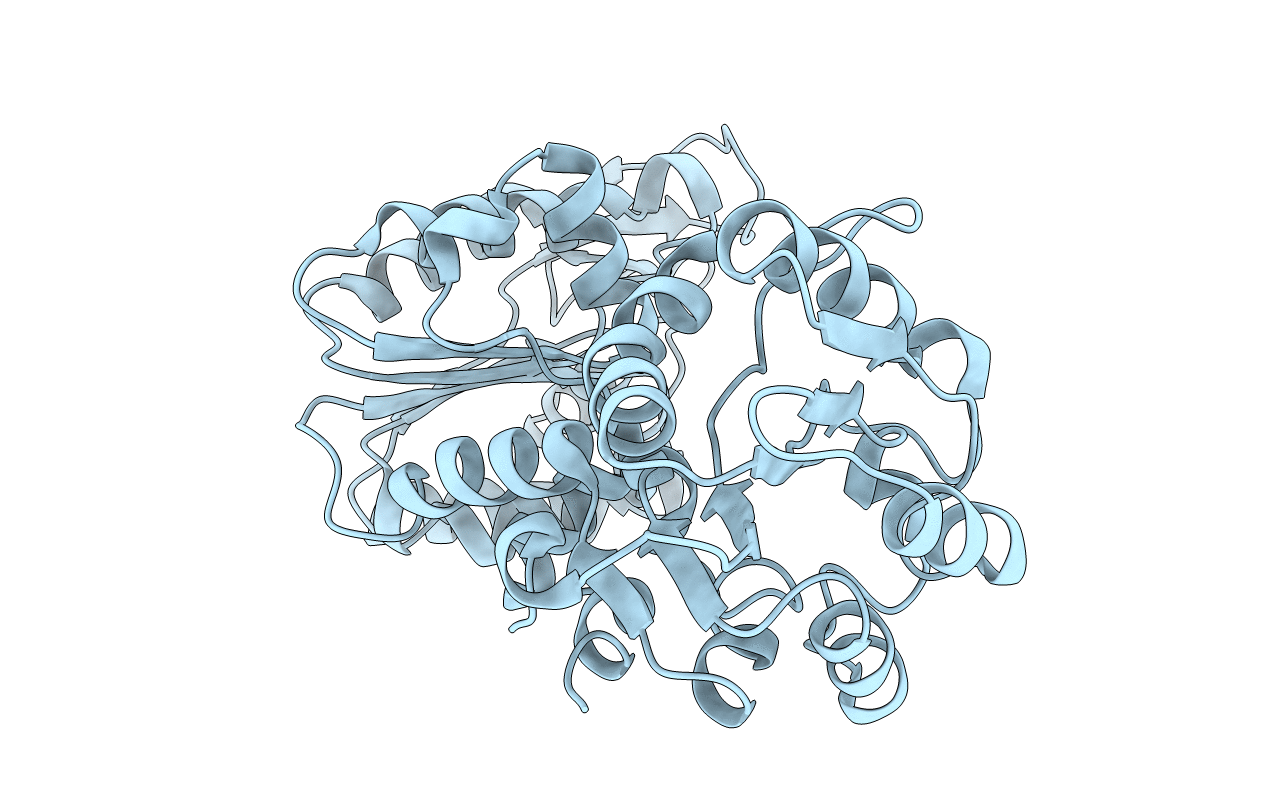 2IE8 image