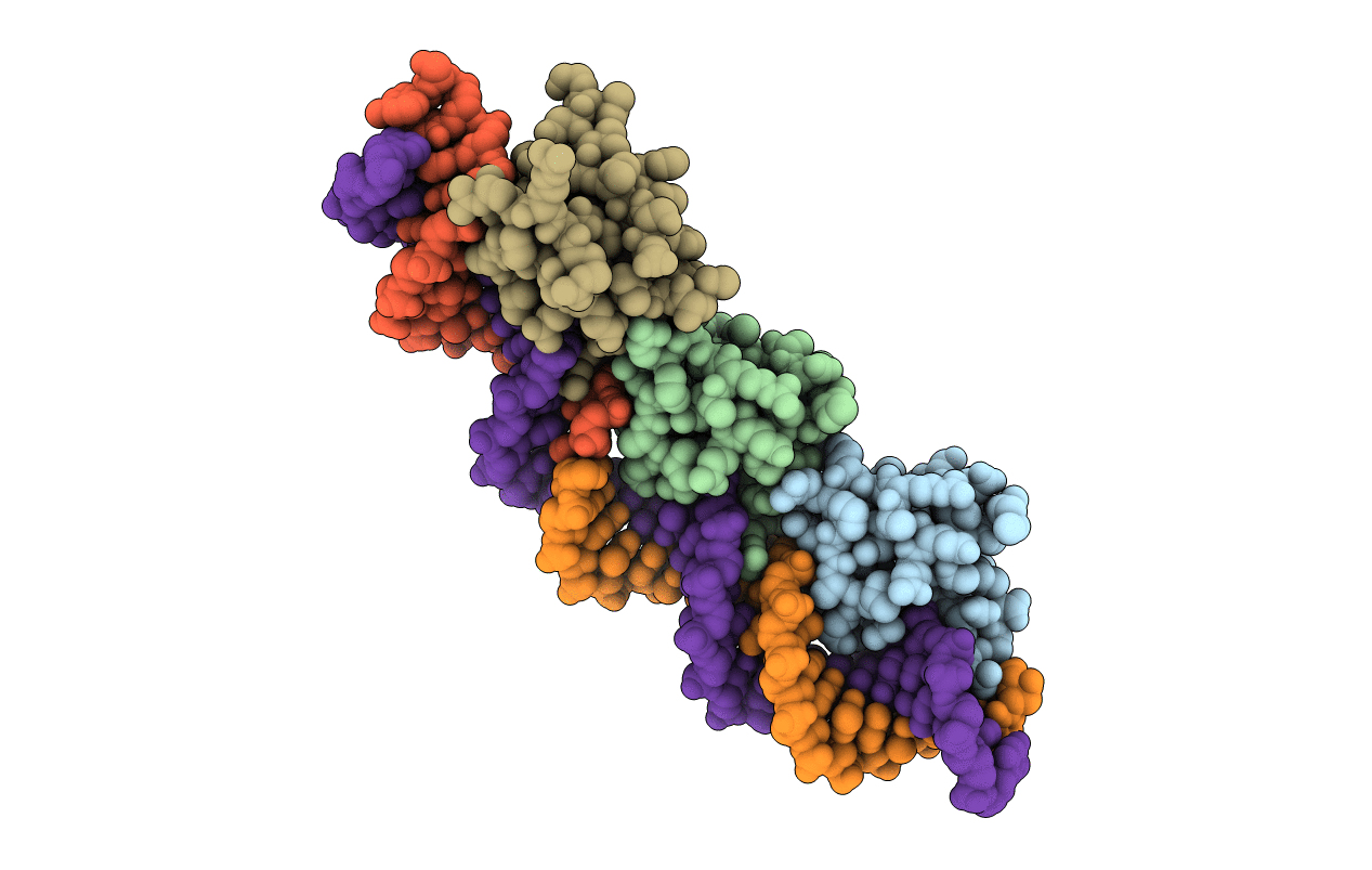 2IEF image