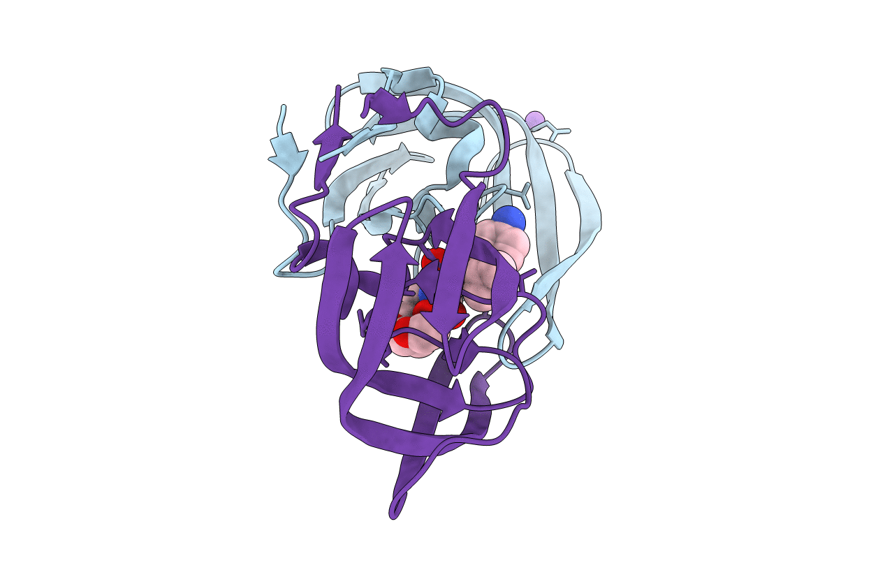 2IEO image