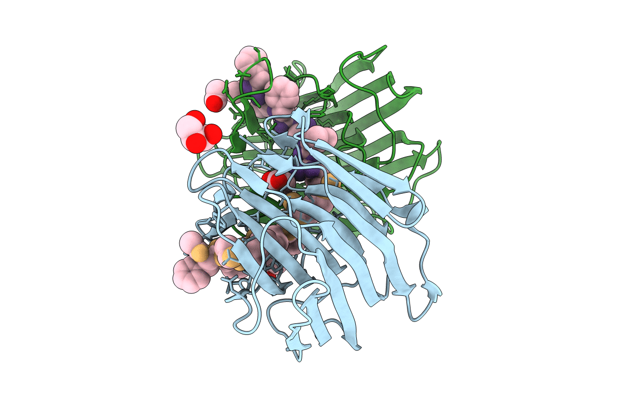 2IFW image