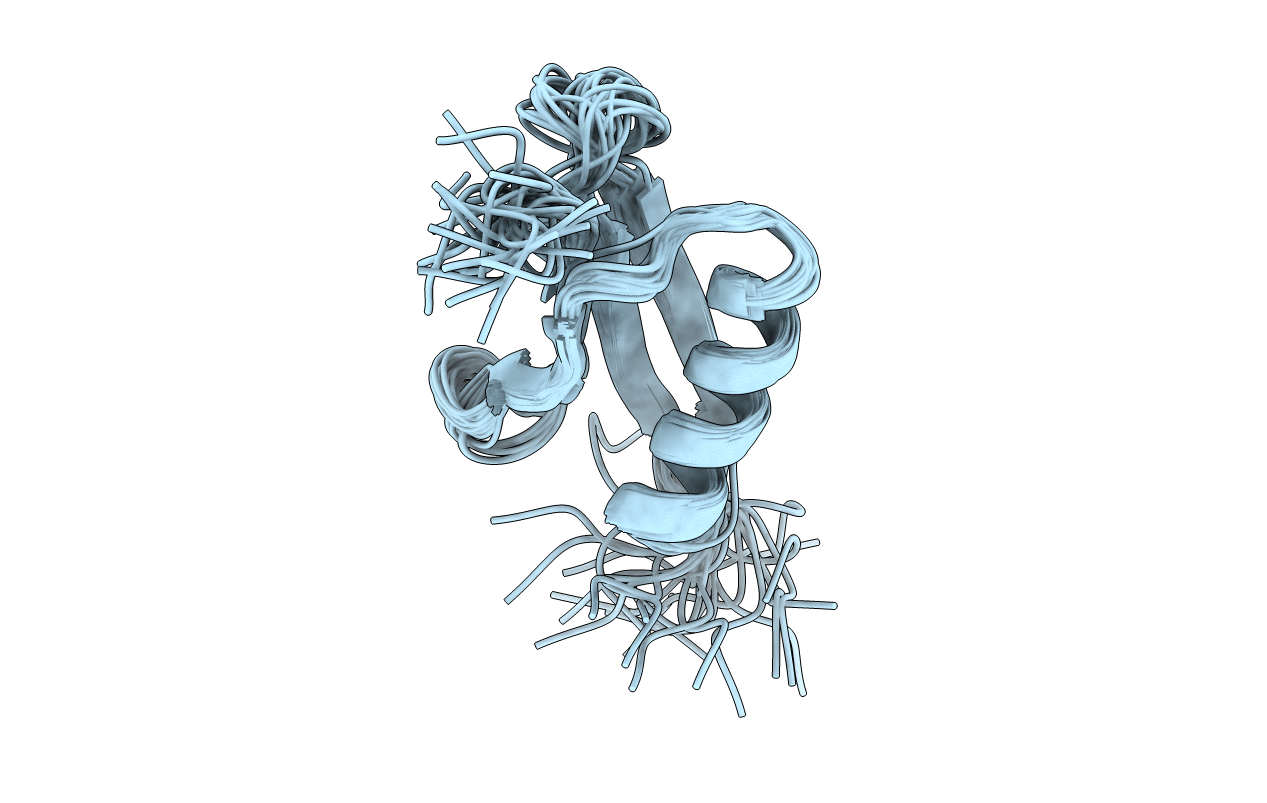 2IGG image