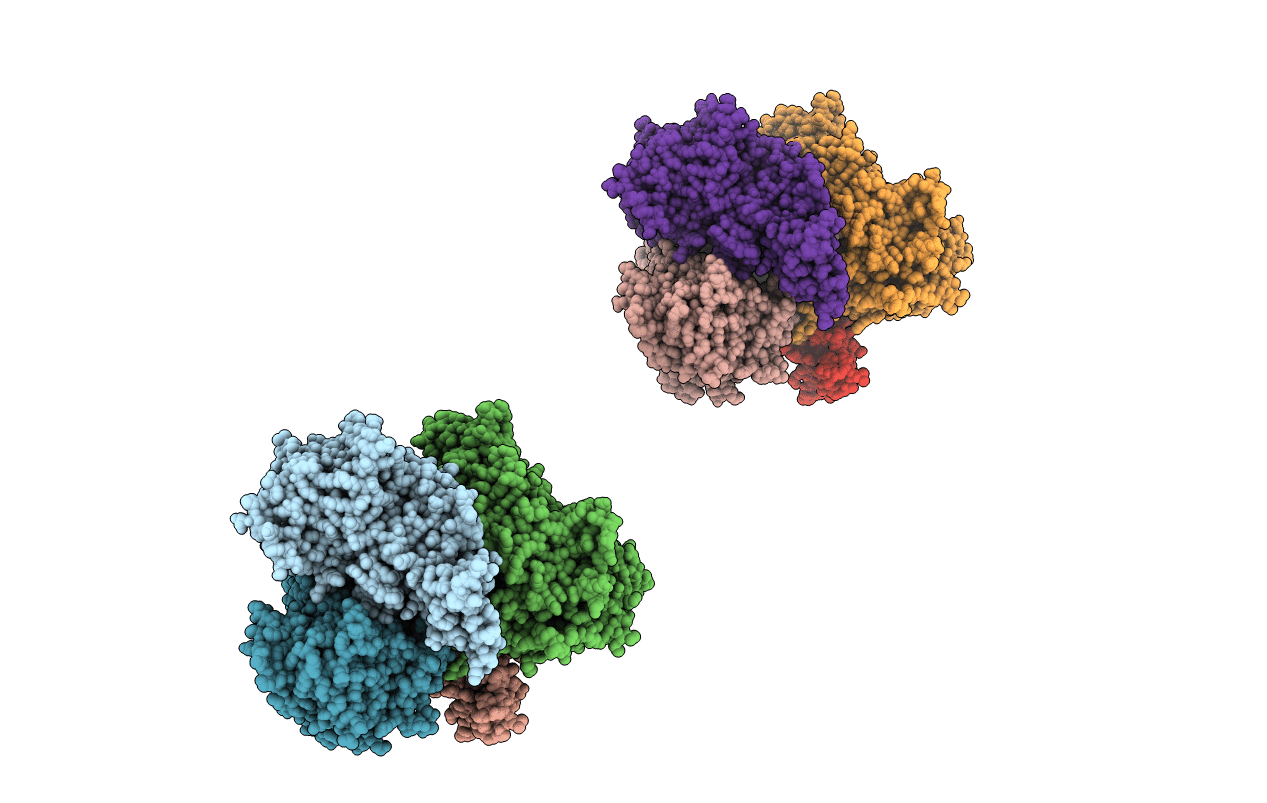 2IGM image