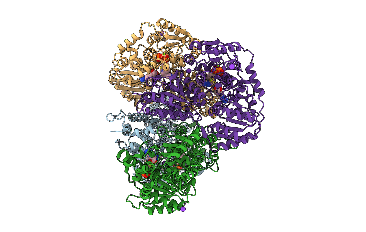 2IHV image